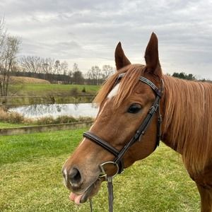 Meet your Posher, Nicole